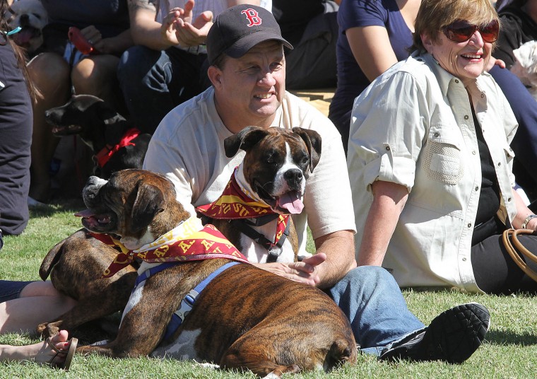 Barktoberfest